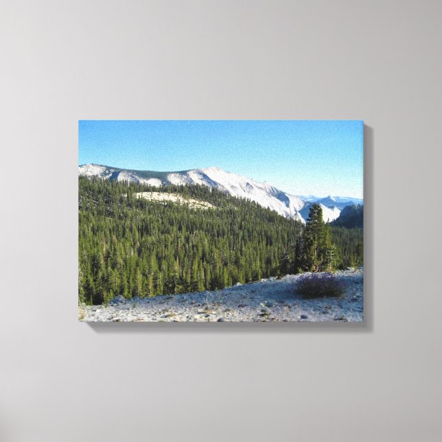 View from Olmstead Point, Yosemite, CA Canvas Print (Front)
