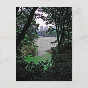 View from Ramble-Central Park Colorized Postcard