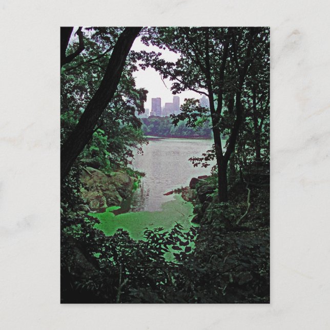 View from Ramble-Central Park Colorized Postcard (Front)