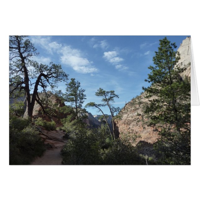 View from Scout Lookout at Zion National Park Cards (Front Horizontal)