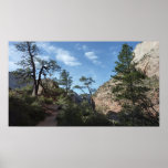View from Scout Lookout at Zion National Park Poster
