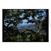 View from Sonoma Mountain (Front Horizontal)