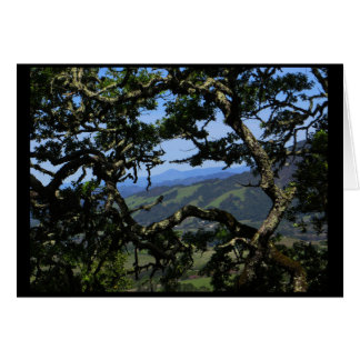 View from Sonoma Mountain Cards