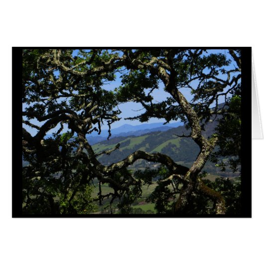 View from Sonoma Mountain Cards (Front Horizontal)