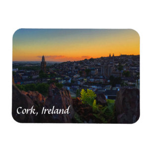 View from St. Patrick's Hill, Cork Ireland Magnet