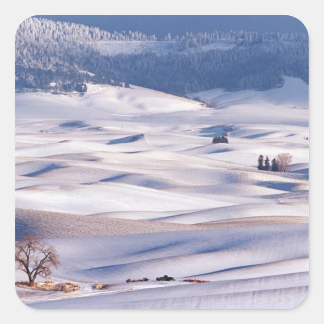 View from Steptoe Butte of rolling hills covered Square Sticker (Front)
