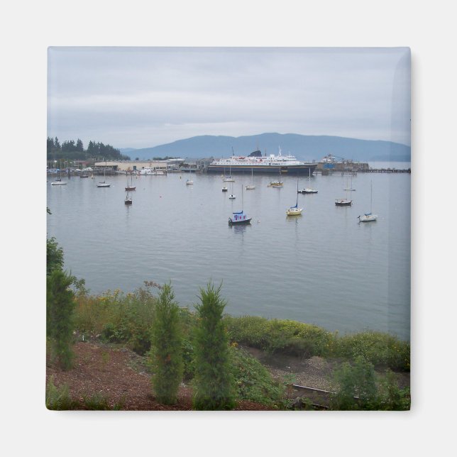 View From Taylor Street Dock Magnet (Front)