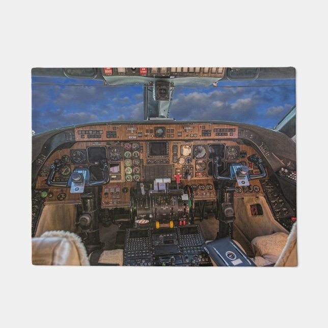 VIEW FROM THE COCKPIT DOORMAT (Front)