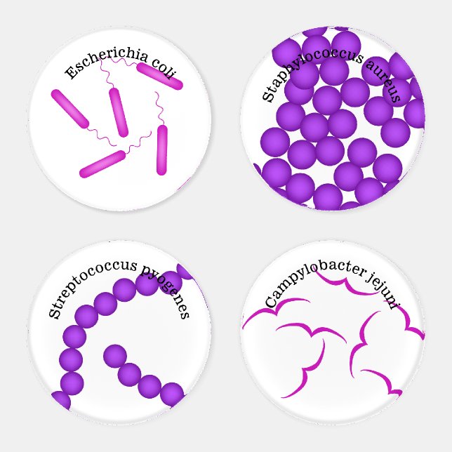 View From The Microscope Coaster Set (Set)