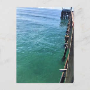 View from the Pier, Newport Beach, California Postcard