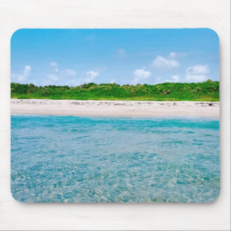 View From The Sandbar Mousepad