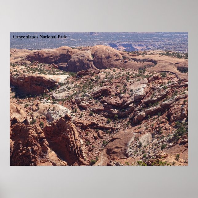 View in Canyonlands National Park Poster (Front)