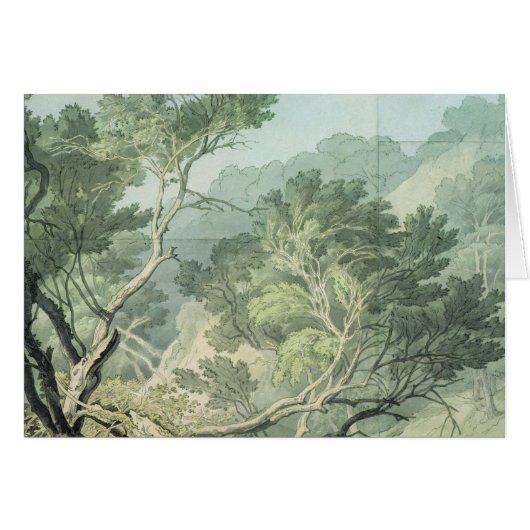 View near Fordlands, Exeter Cards (Front Horizontal)