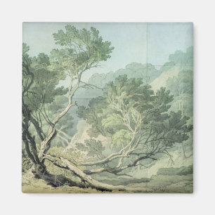 View near Fordlands, Exeter Magnet
