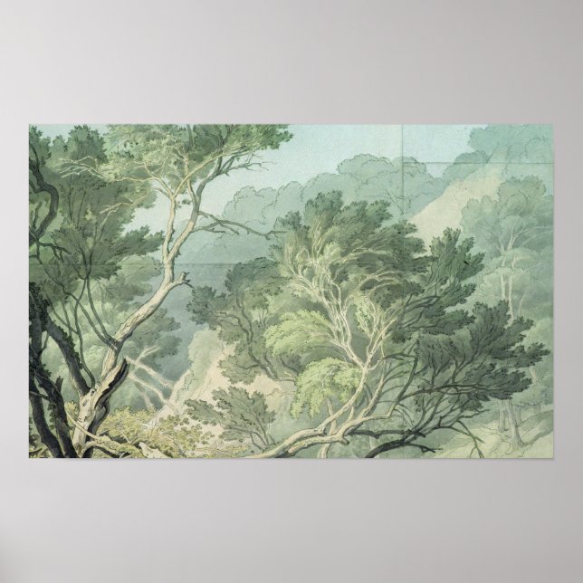 View near Fordlands, Exeter Poster (Front)