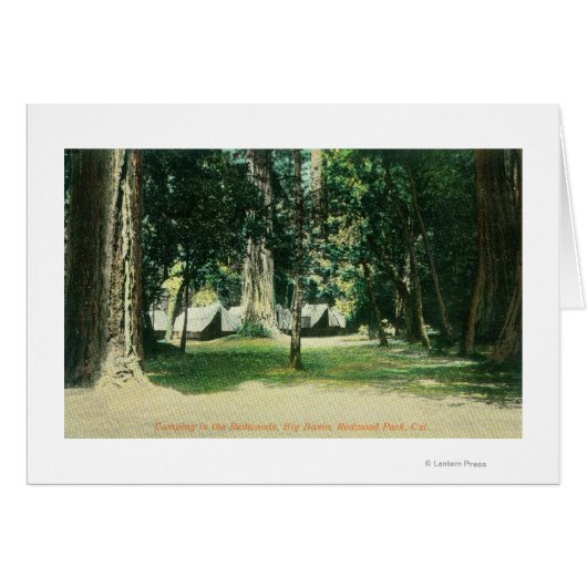 View of a Camp in the Redwoods Cards (Front Horizontal)