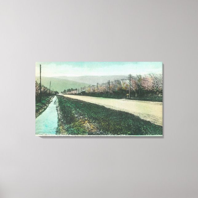 View of a Country Road During Springtime Canvas Print (Front)
