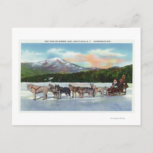 View of a Dogsled Team on Mirror Lake Postcard (Front)