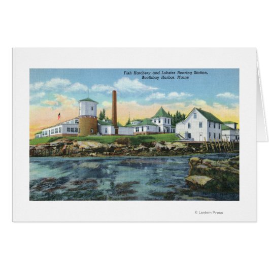 View of a Fish Hatchery, Lobster Rearing Cards (Front Horizontal)