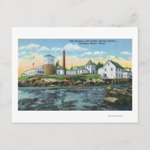 View of a Fish Hatchery, Lobster Rearing Postcard