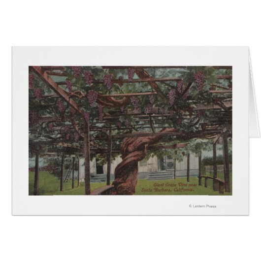 View of a Giant Grape Vine Cards (Front Horizontal)