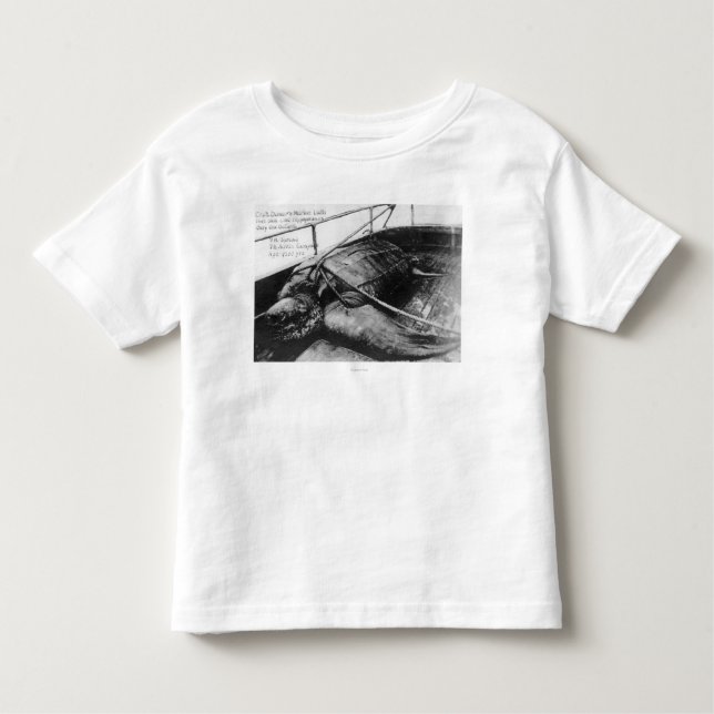 View of a Giant Sea Turtle in Captivity Toddler T-shirt (Front)