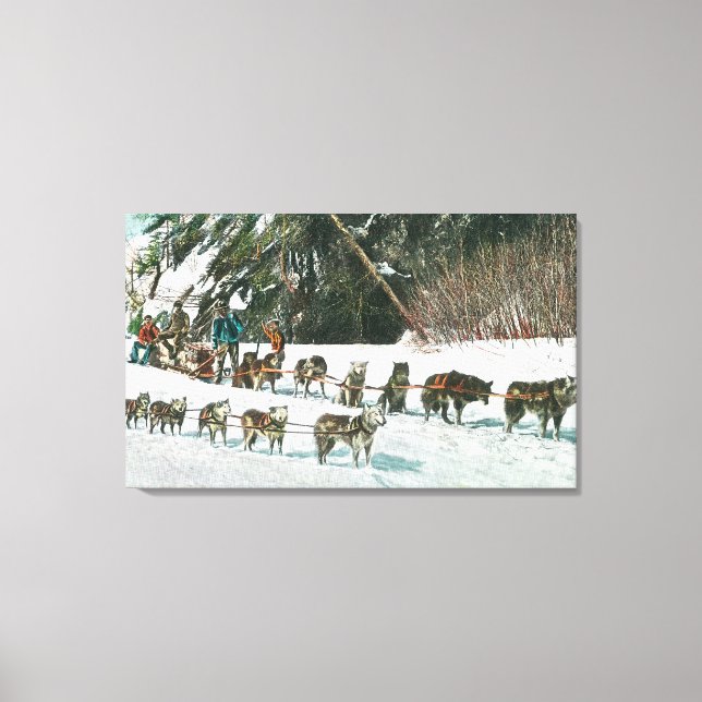 View of a Husky Dog-Sled Team Canvas Print (Front)