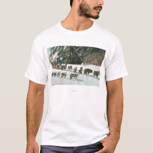 View of a Husky Dog-Sled Team T-Shirt