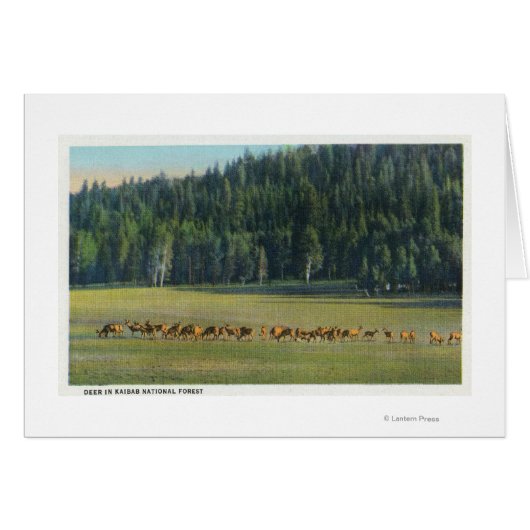 View of a Pack of Deer Grazing Cards (Front Horizontal)