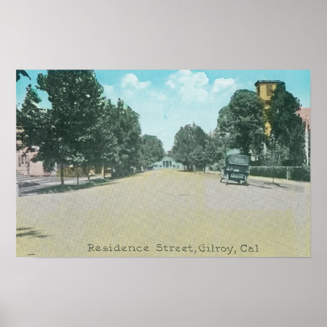 View of a Residence StreetGilroy, CA Poster (Front)