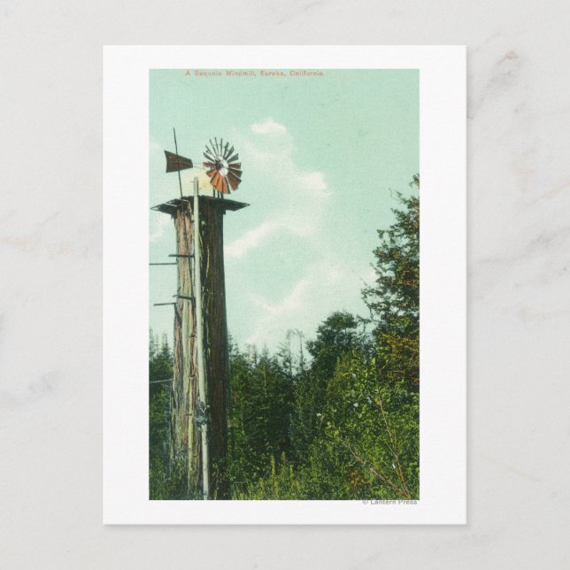 View of a Sequoia Wind MillEureka, CA Postcard (Front)