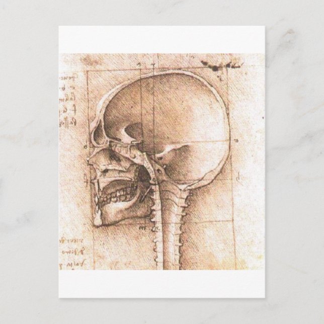 View of a Skull by Leonardo Da Vinci v. 1489 Postcard (Front)