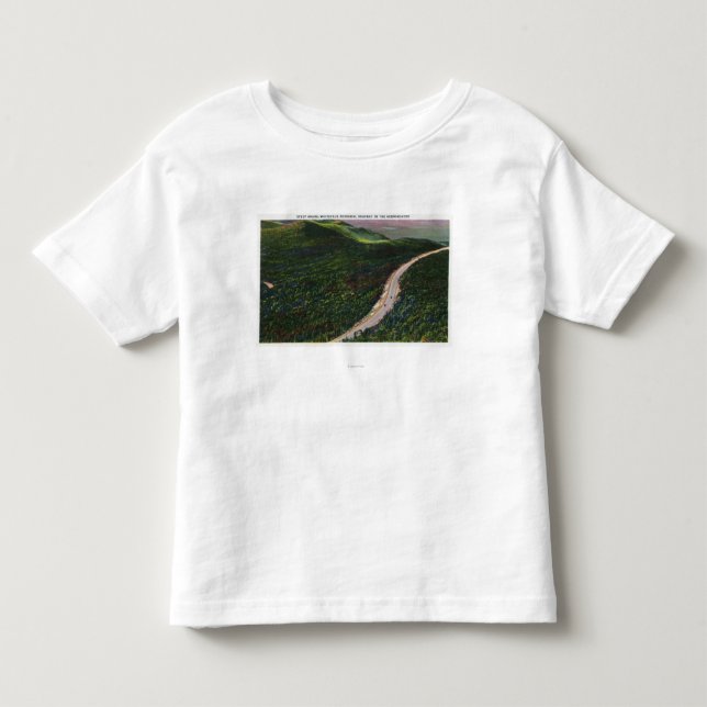 View of a Steep Grade on Memorial Hwy Toddler T-shirt (Front)