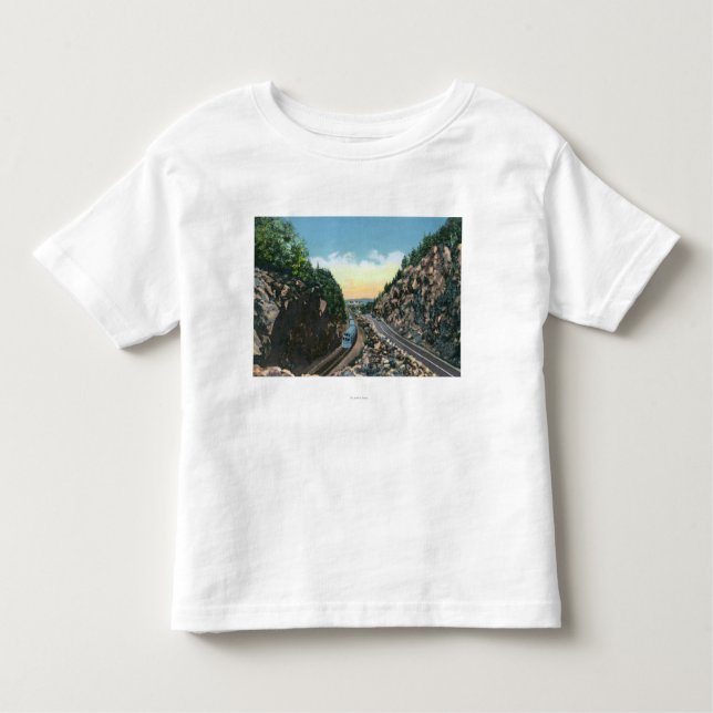 View of a Train Alongside the Highway Toddler T-shirt (Front)