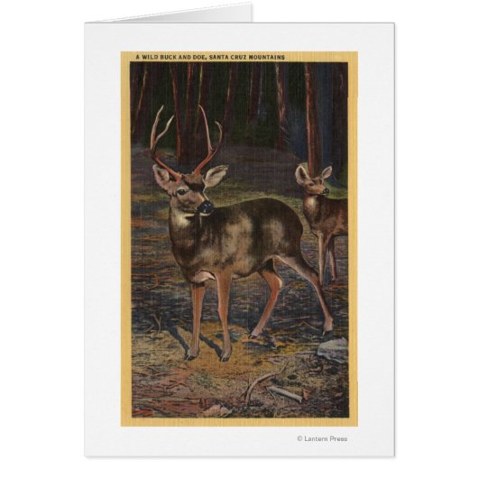 View of a Wild Buck & Doe Cards (Front)