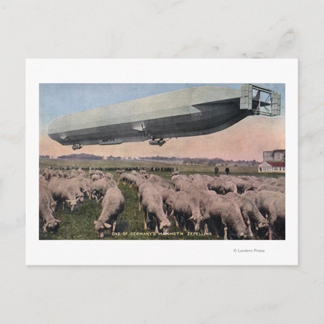 View of a Zeppelin Blimp over Grazing Sheep Postcard (Front)