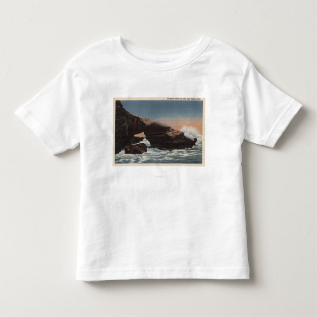 View of Alligator Head, La Jolla Toddler T-shirt (Front)