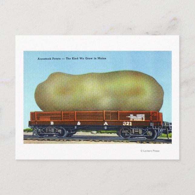 View of an Aroostook Potato on a Train Trolley Postcard (Front)