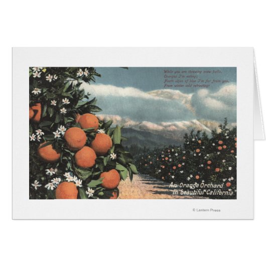 View of an Orange Orchard with Mountains Cards (Front Horizontal)