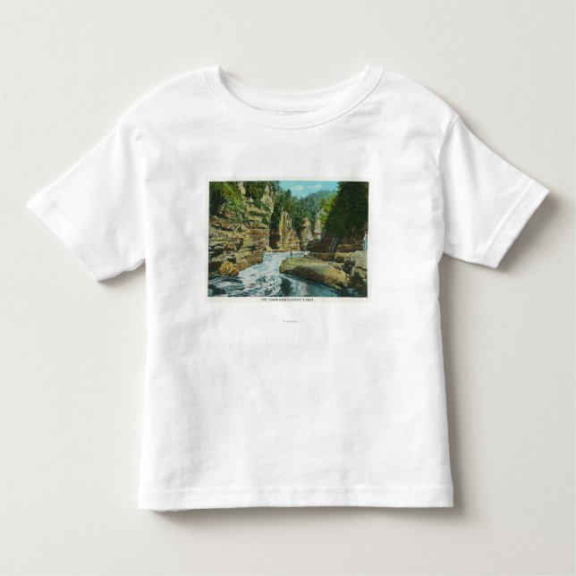 View of Ausable Chasm near Elephant's Head Toddler T-shirt (Front)