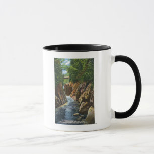 View of Ausable River Falls and Bridge Mug