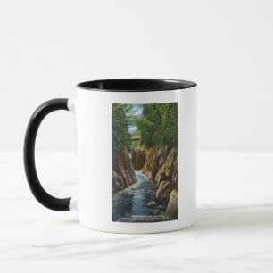 View of Ausable River Falls and Bridge Mug
