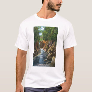 View of Ausable River Falls and Bridge T-Shirt