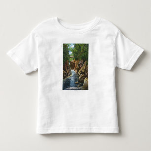 View of Ausable River Falls and Bridge Toddler T-shirt