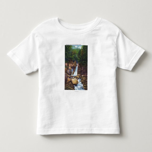 View of Bash-Bish Falls near Great Barrington Toddler T-shirt (Front)
