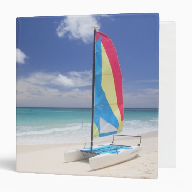 View Of Beach With Sailboat 3 Ring Binder (Front/Inside)
