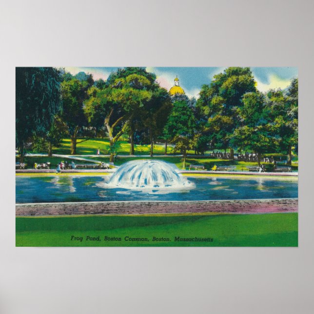 View of Boston Common Frog Pond Poster (Front)