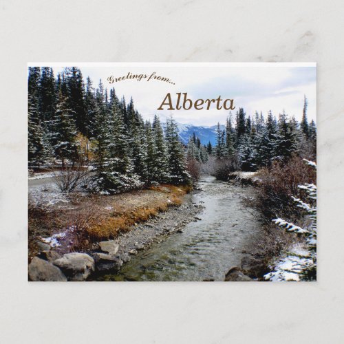 View of Bow River Alberta Canada Postcard