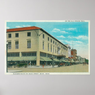 View of Business Block on Idaho Street Poster