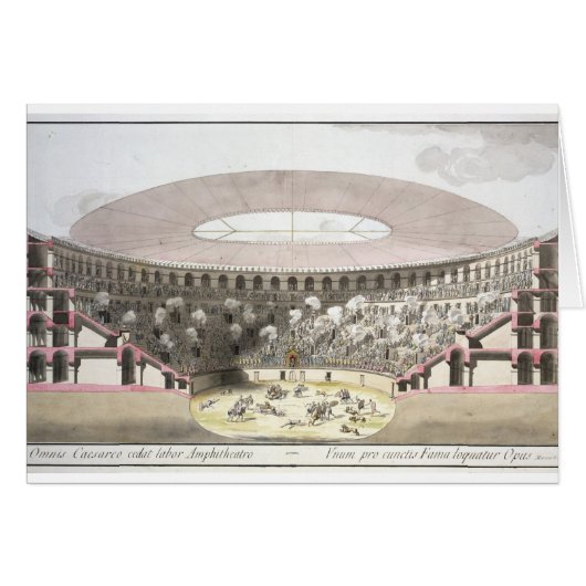 View of Caesar's Amphitheatre (colour litho) Cards (Front Horizontal)